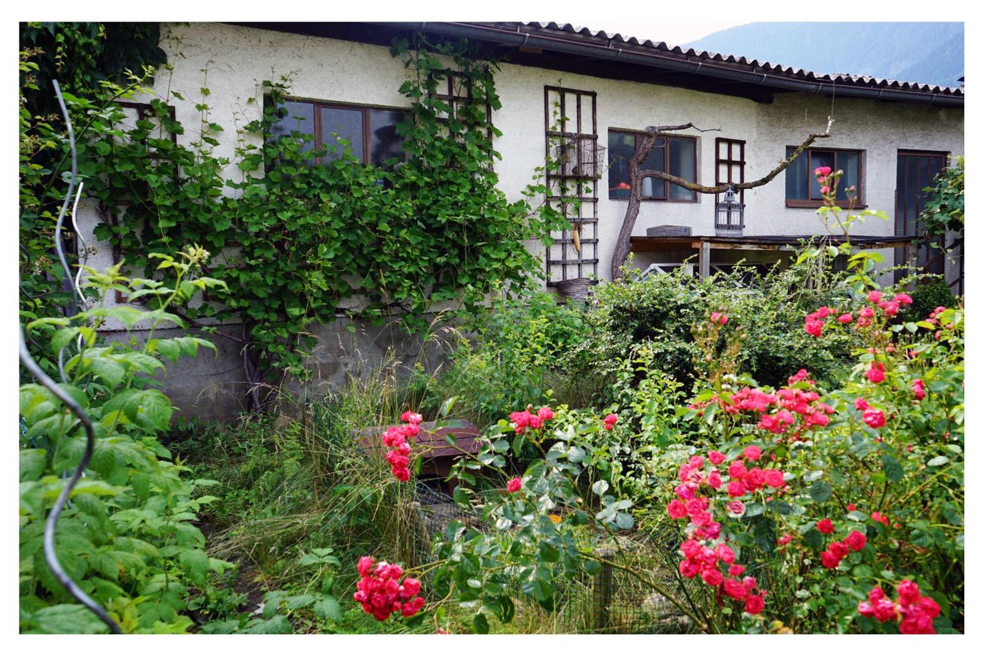 Ingrid'S Guesthouse Spittal 斯皮特安德劳 外观 照片