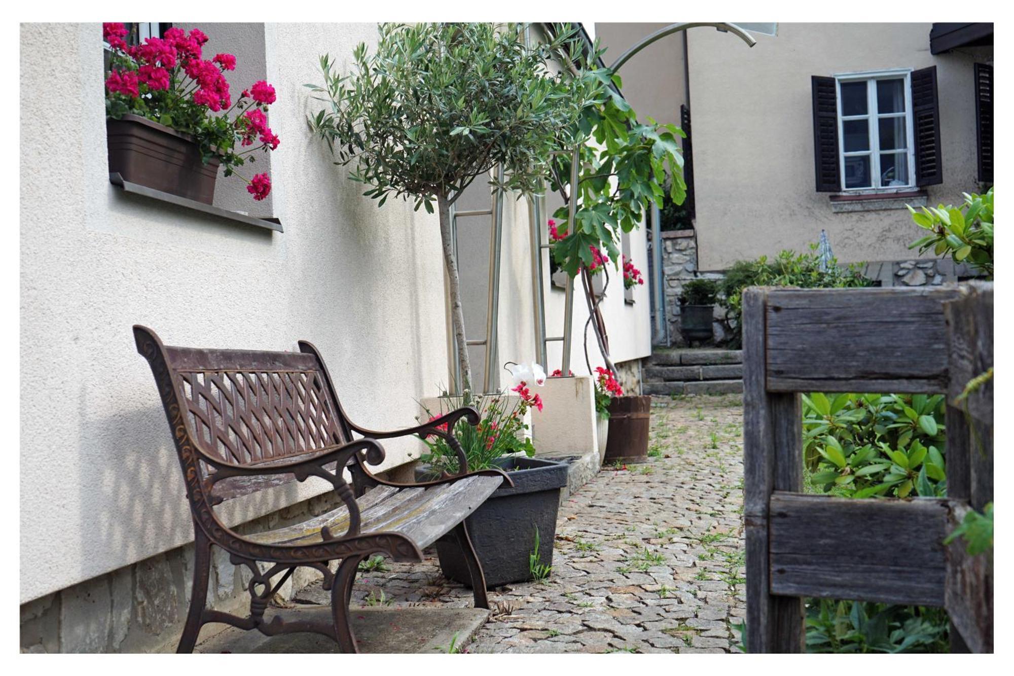 Ingrid'S Guesthouse Spittal 斯皮特安德劳 外观 照片